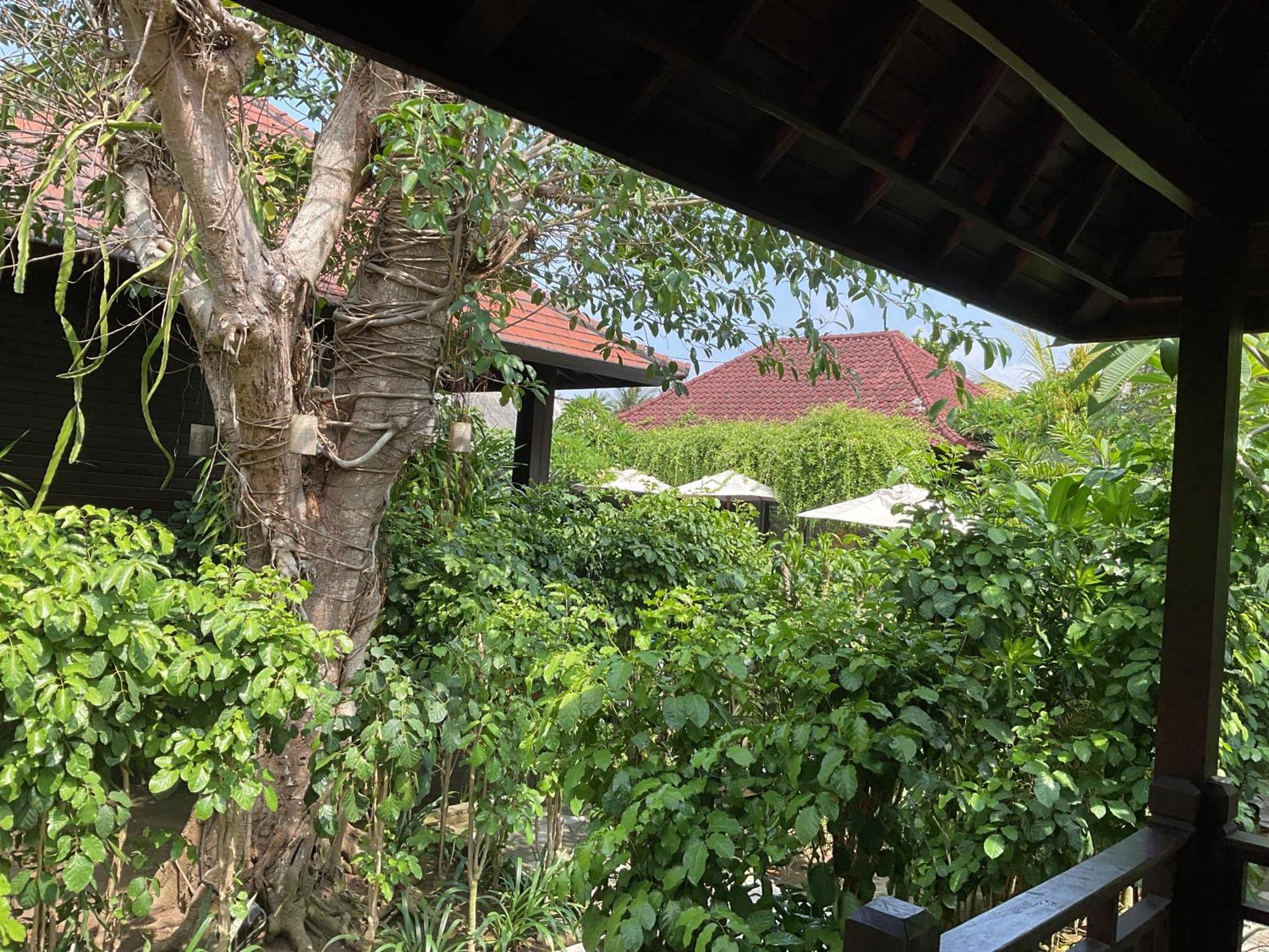 Bunutbali Villas88 Nusa Lembongan Zewnętrze zdjęcie